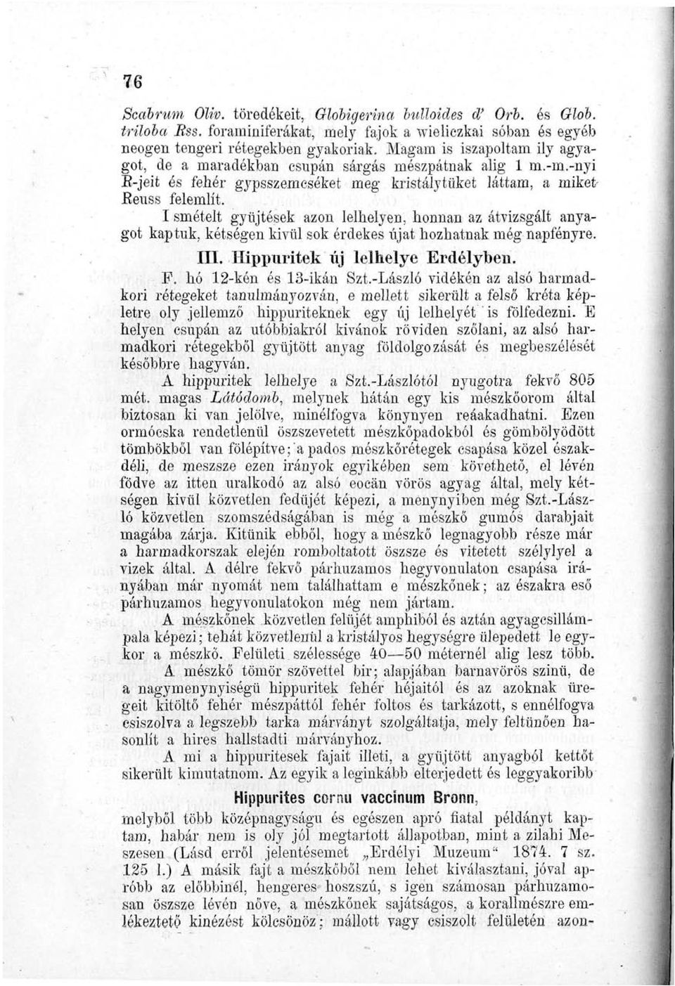 I smételt gyűjtések azon leihelyen, honnan az átvizsgált anyagot kaptuk, kétségen kivűl sok érdekes újat hozhatnak még napfényre. III. Hippuritek új leihelye Erdélyiben. F. hó 12-kén és 13-ikán Szt.