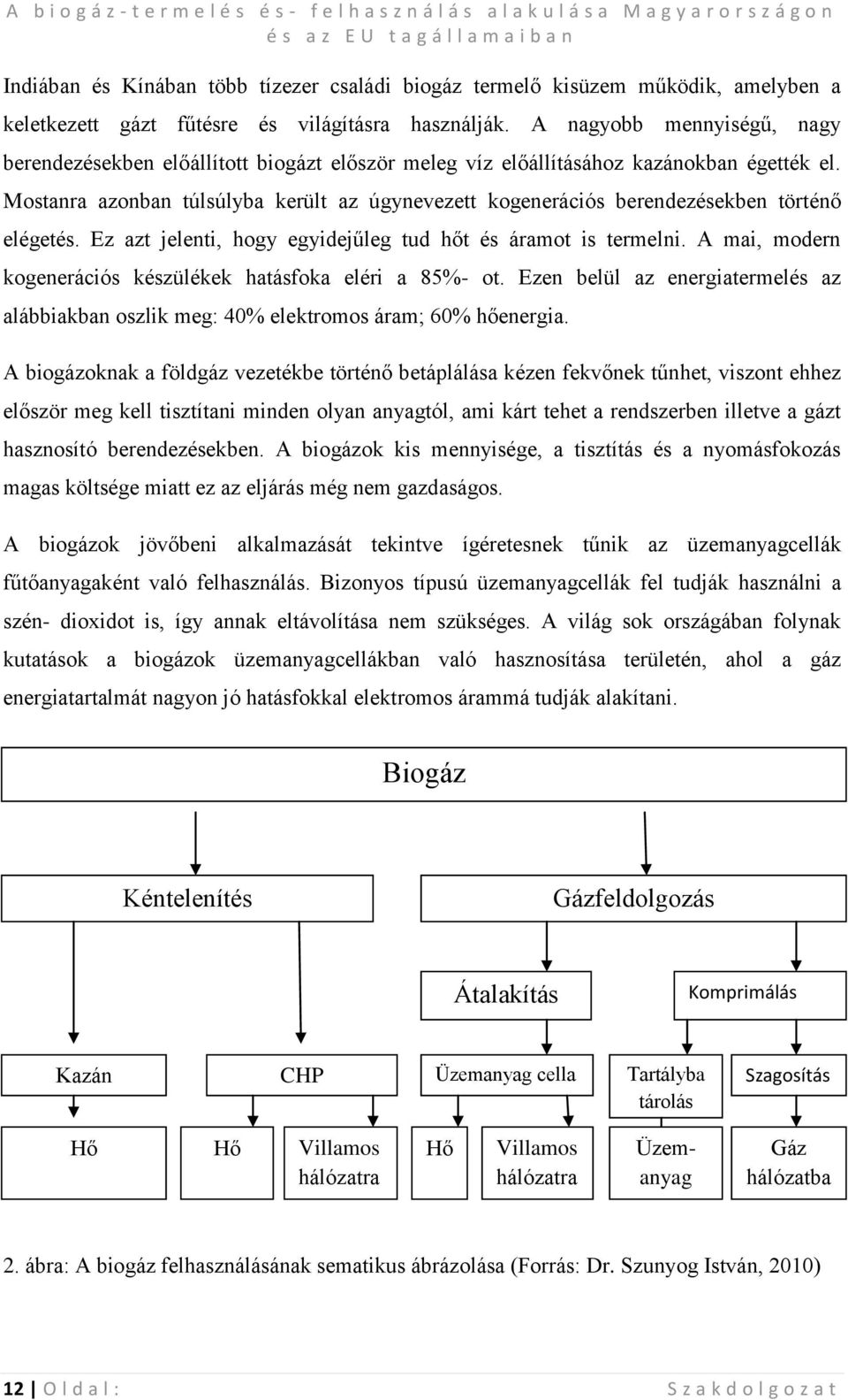 Mostanra azonban túlsúlyba került az úgynevezett kogenerációs berendezésekben történő elégetés. Ez azt jelenti, hogy egyidejűleg tud hőt és áramot is termelni.