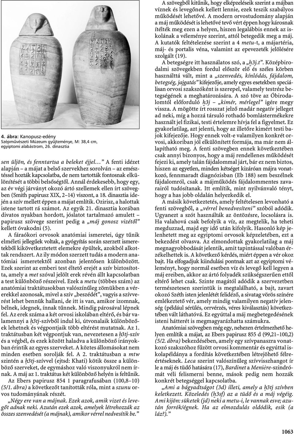 belsőségtől. Annál érdekesebb, hogy egy, az év végi járványt okozó ártó szellemek ellen írt szövegben (Smith papirusz XIX, 2 14) viszont, a 18. dinasztia idején a szív mellett éppen a májat említik.