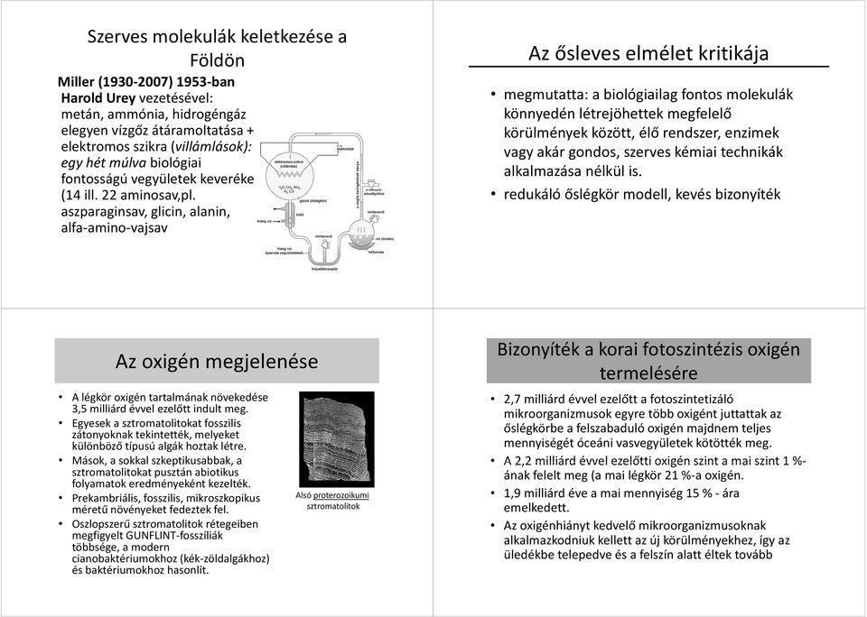 aszparaginsav, glicin, alanin, alfa-amino-vajsav Az ősleves elmélet kritikája megmutatta: a biológiailag fontos molekulák könnyedén létrejöhettek megfelelő körülmények között, élő rendszer, enzimek