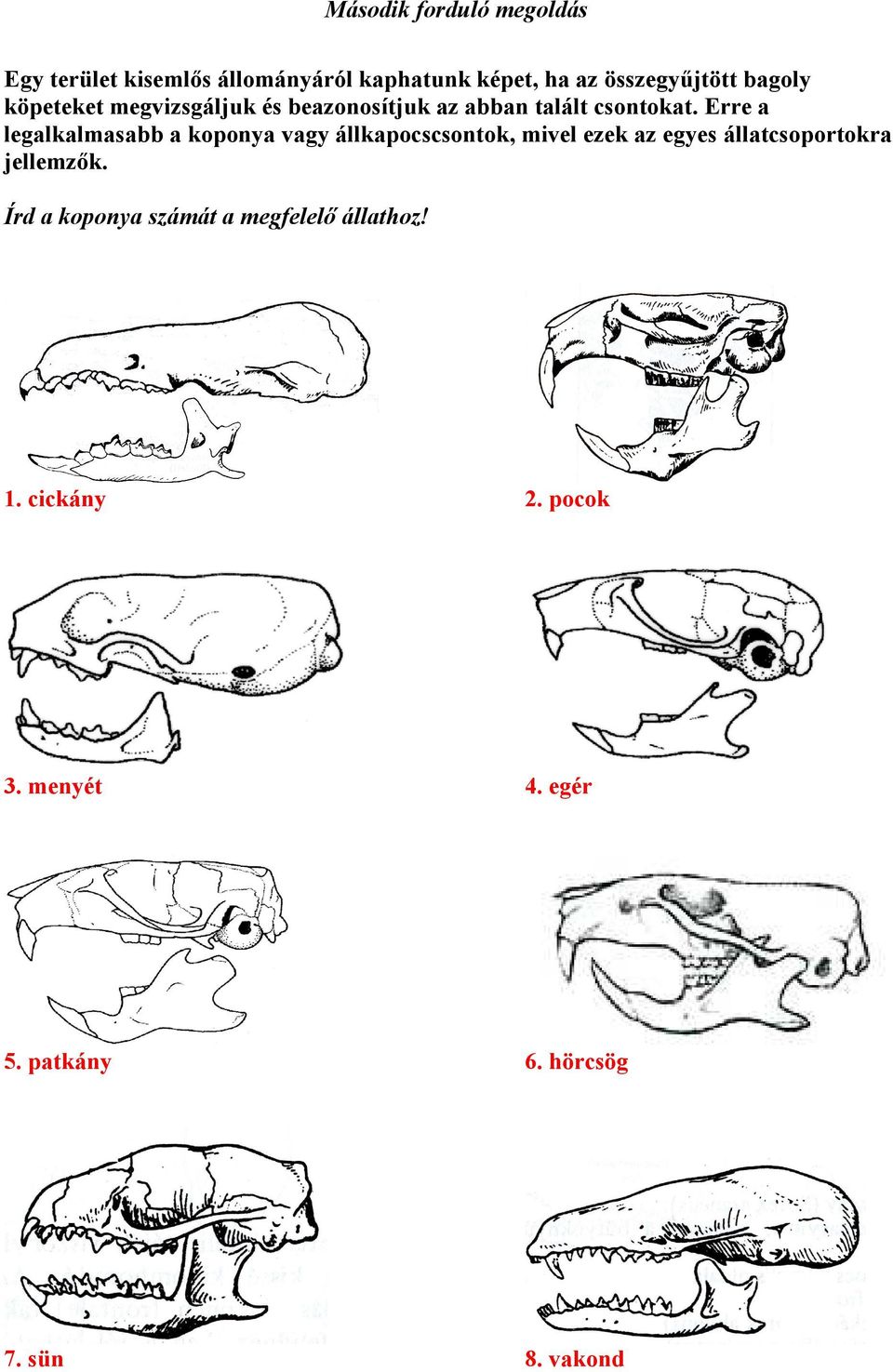 Erre a legalkalmasabb a koponya vagy állkapocscsontok, mivel ezek az egyes állatcsoportokra