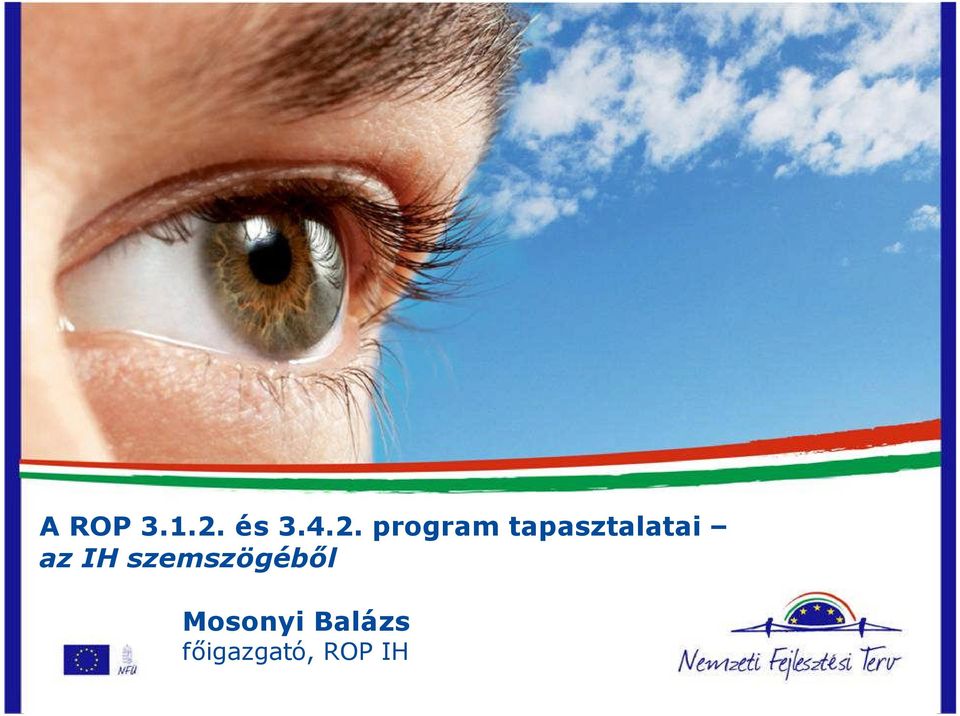 program tapasztalatai az