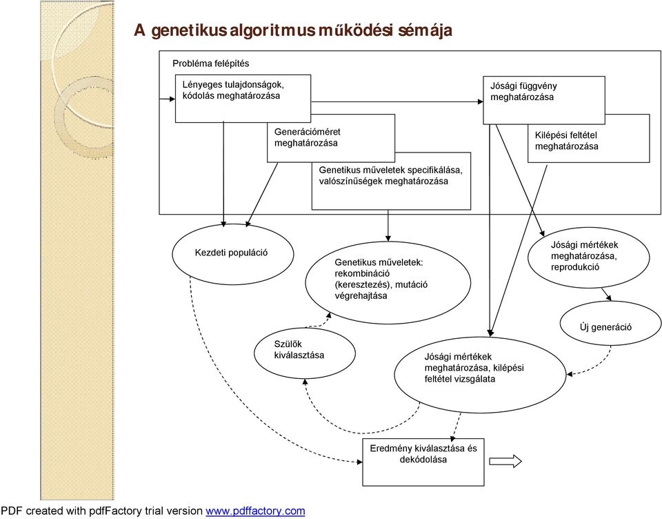 meghatározása Kezdeti populáció Genetikus műveletek: rekombináció (keresztezés), mutáció végrehajtása Jósági mértékek