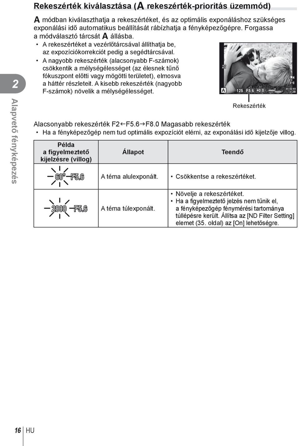 A nagyobb rekeszérték (alacsonyabb F-számok) csökkentik a mélységélességet (az élesnek tűnő fókuszpont előtti vagy mögötti területet), elmosva a háttér részleteit.