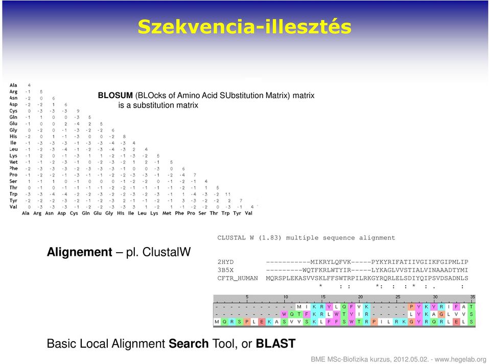 83) multiple sequence alignment 2HYD -----------MIKRYLQFVK-----PYKYRIFATIIVGIIKFGIPMLIP 3B5X