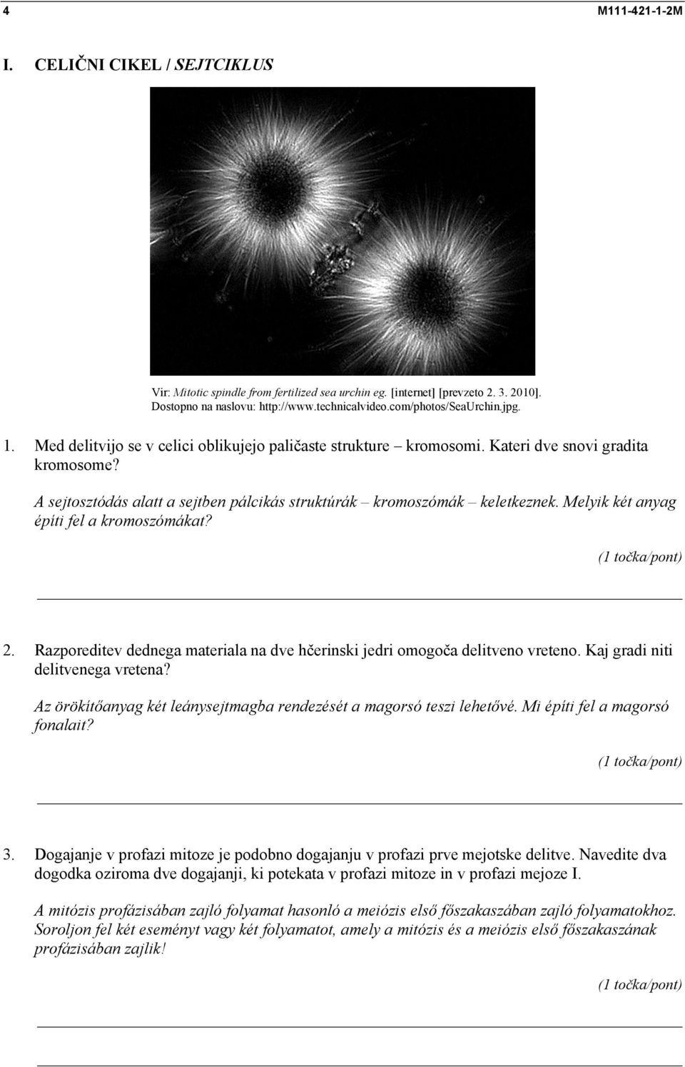 Melyik két anyag építi fel a kromoszómákat? 2. Razporeditev dednega materiala na dve hčerinski jedri omogoča delitveno vreteno. Kaj gradi niti delitvenega vretena?