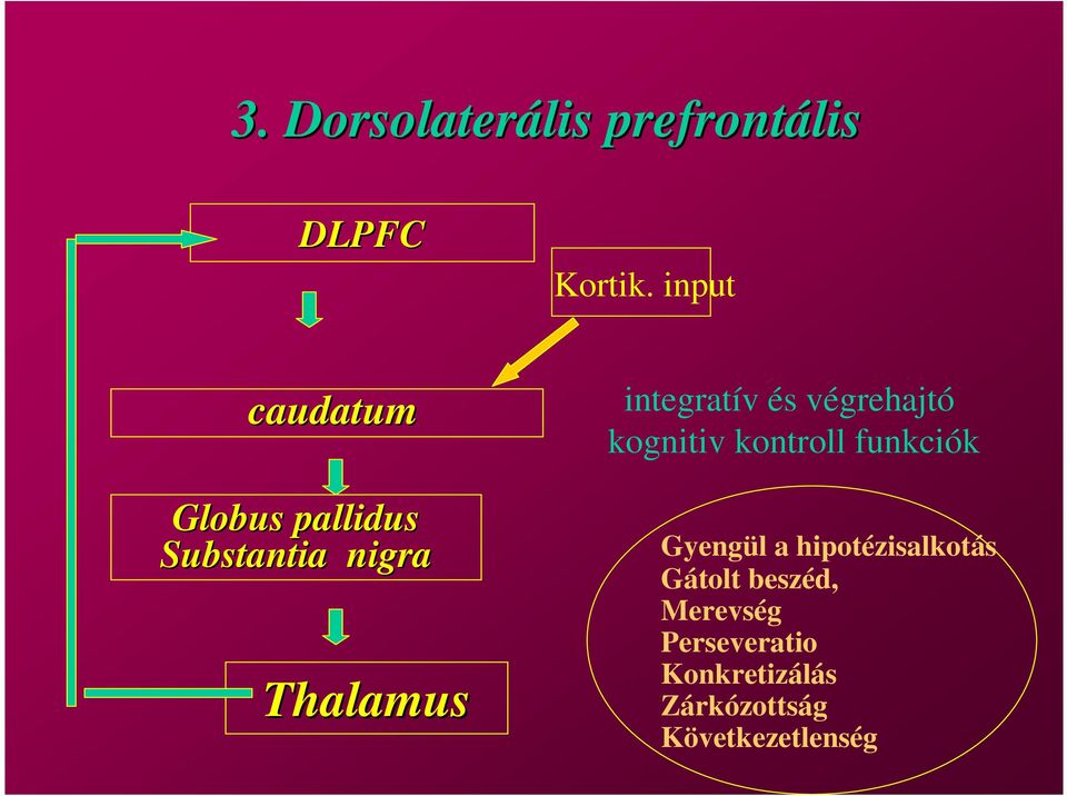 integratív és végrehajtó kognitiv kontroll funkciók Gyengül a