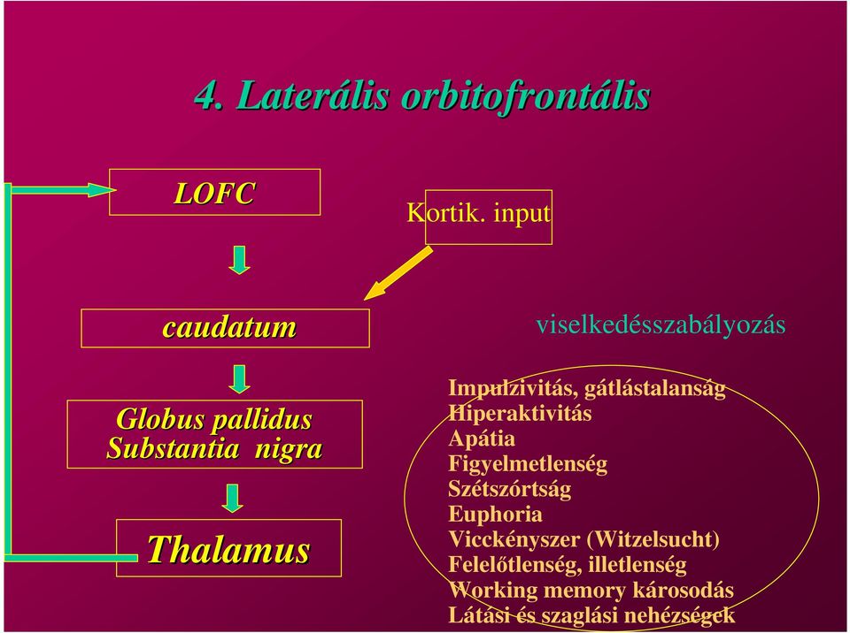 Impulzivitás, gátlástalanság Hiperaktivitás Apátia Figyelmetlenség Szétszórtság