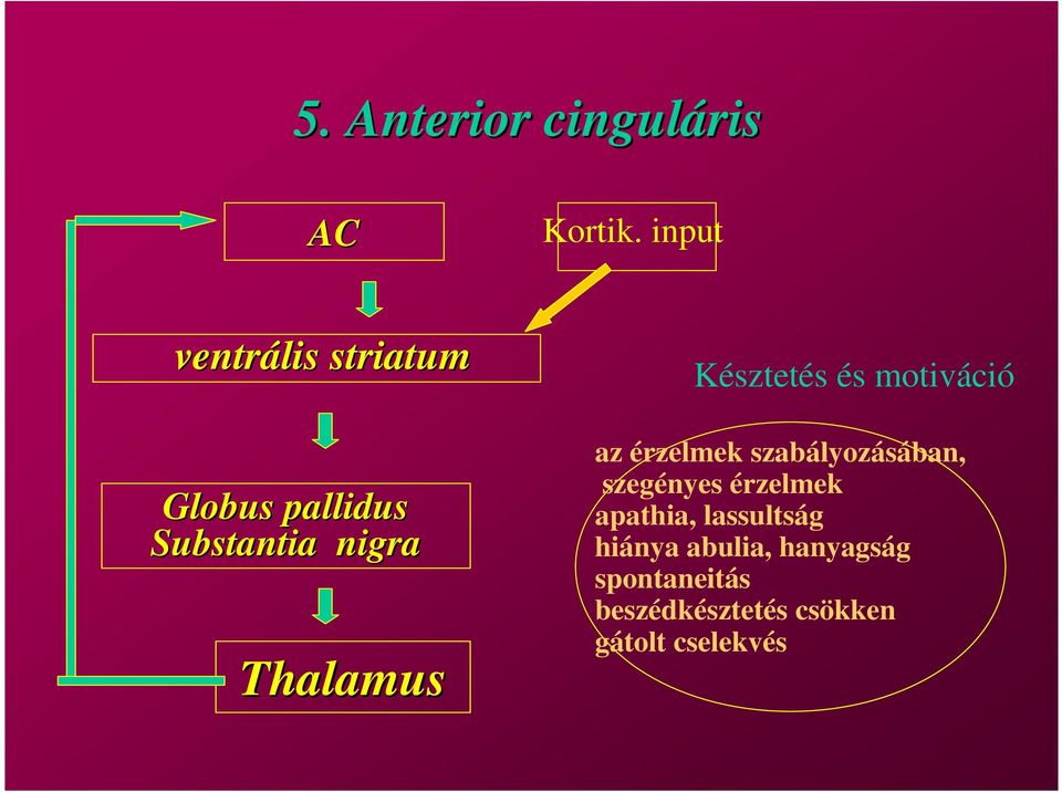 Késztetés és motiváció az érzelmek szabályozásában, szegényes