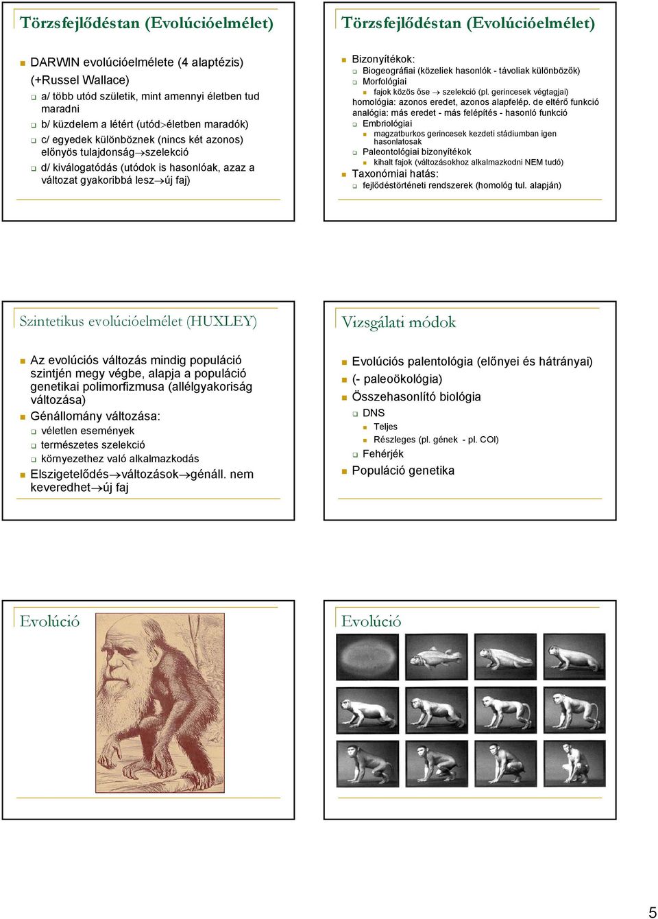 Biogeográfiai (közeliek hasonlók - távoliak különbözők) Morfológiai fajok közös őse szelekció (pl. gerincesek végtagjai) homológia: azonos eredet, azonos alapfelép.