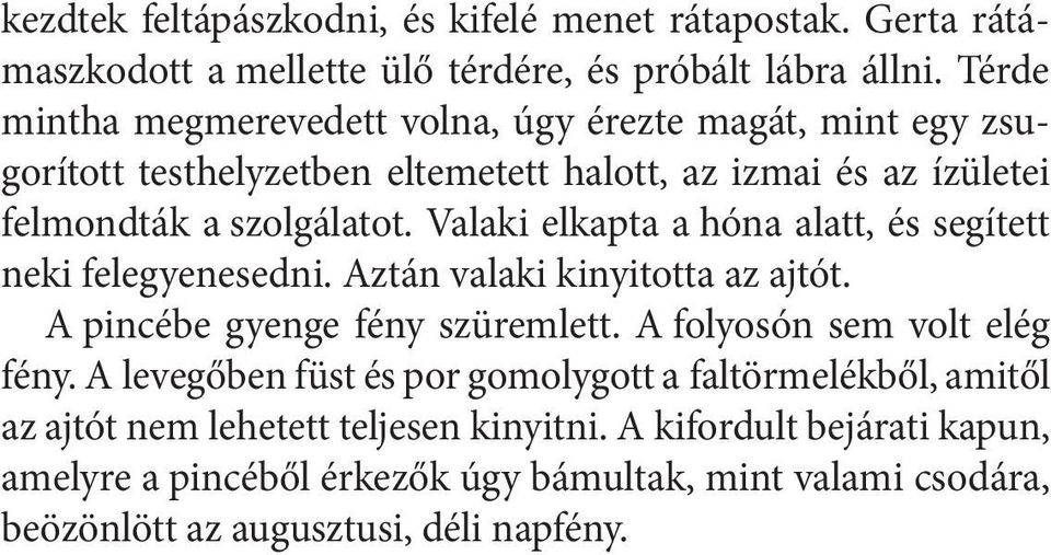 Valaki elkapta a hóna alatt, és segített neki felegyenesedni. Aztán valaki kinyitotta az ajtót. A pincébe gyenge fény szüremlett. A folyosón sem volt elég fény.