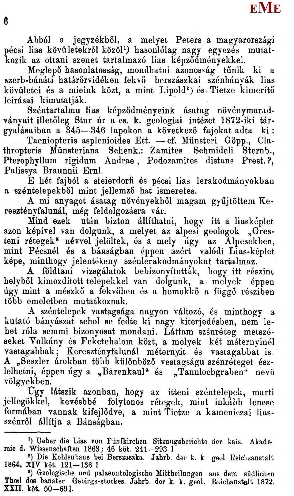 Széntartalmú lias képződményeink ásatag növénymaradványait illetőleg Stur úr a cs. k. geologiai intézet 1872-iki tárgyalásaiban a 345 346 lapokon a következő fajokat adta ki: Taeniopteris asplenioides tt.