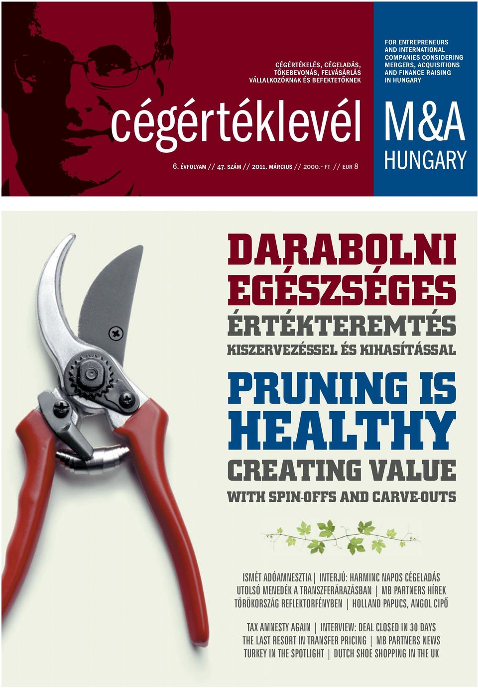 KISZERVEZÉSSEL ÉS KIHASÍTÁSSAL PRUNING IS HEALTHY CREATING VALUE WITH SPINOFFS AND CARVEOUTS ISMÉT ADÓAMNESZTIA INTERJÚ: HARMINC NAPOS CÉGELADÁS UTOLSÓ MENEDÉK A TRANSZFERÁRAZÁSBAN