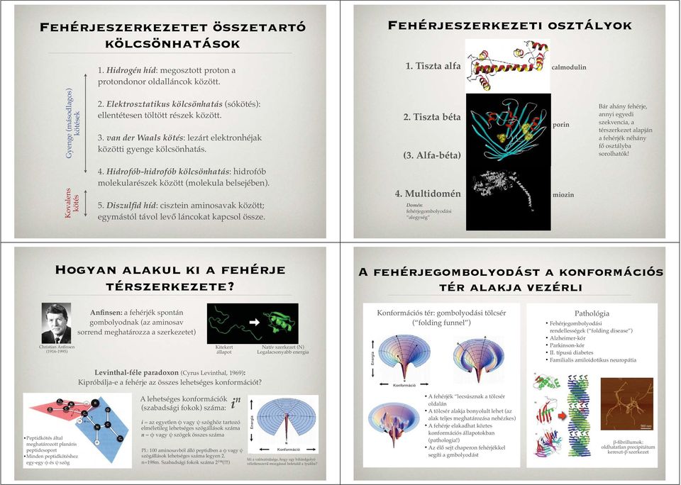 Alfa-béta) porin Bár ahány fehérje, annyi egyedi szekvencia, a térszerkezet alapján a fehérjék néhány fő osztályba sorolhatók! kötés 4.