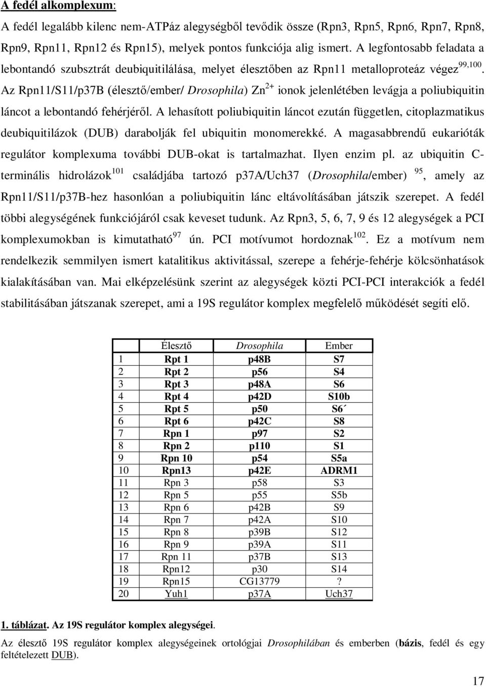 Az Rpn11/S11/p37B (élesztő/ember/ Drosophila) Zn 2+ ionok jelenlétében levágja a poliubiquitin láncot a lebontandó fehérjéről.