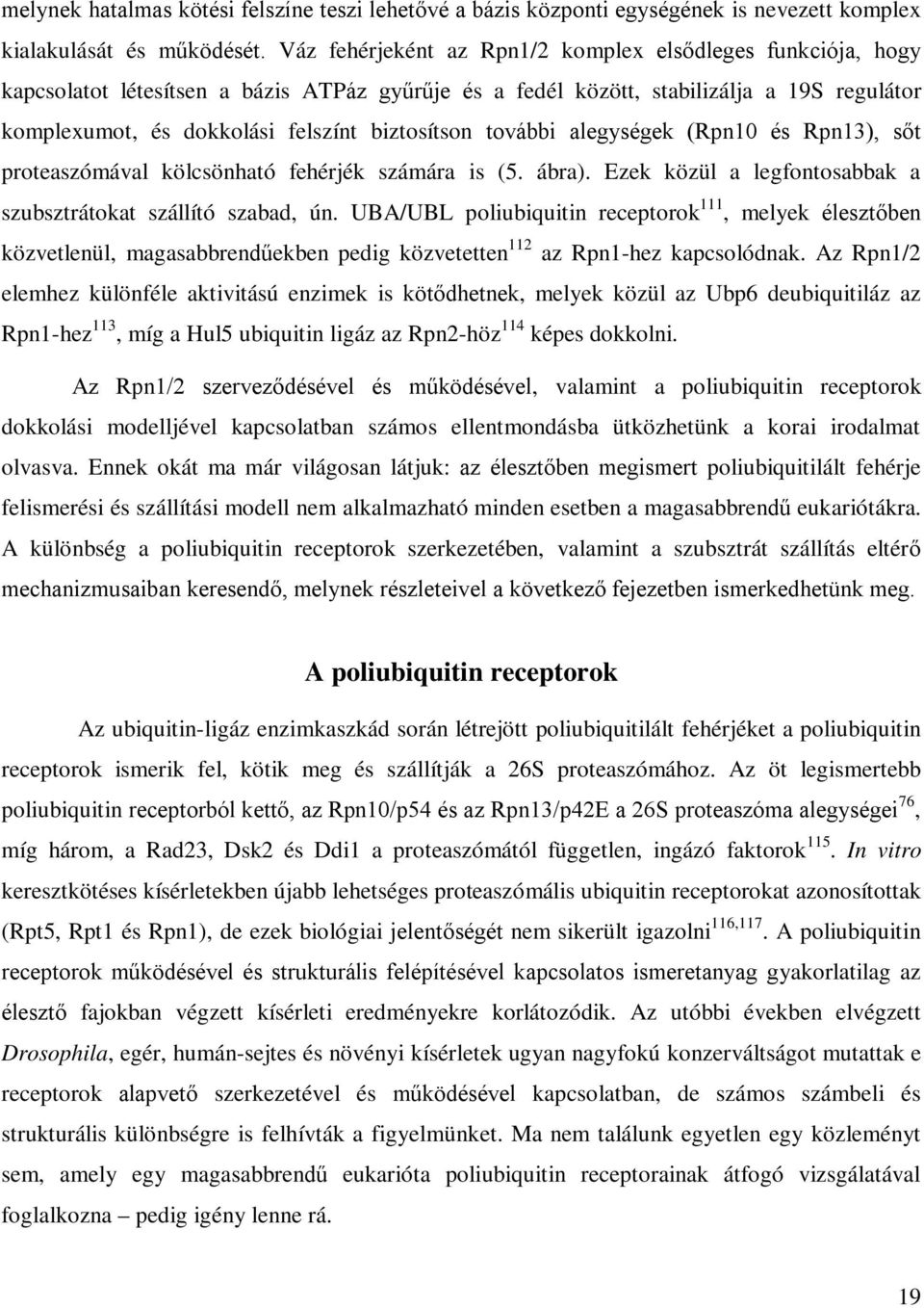 biztosítson további alegységek (Rpn10 és Rpn13), sőt proteaszómával kölcsönható fehérjék számára is (5. ábra). Ezek közül a legfontosabbak a szubsztrátokat szállító szabad, ún.