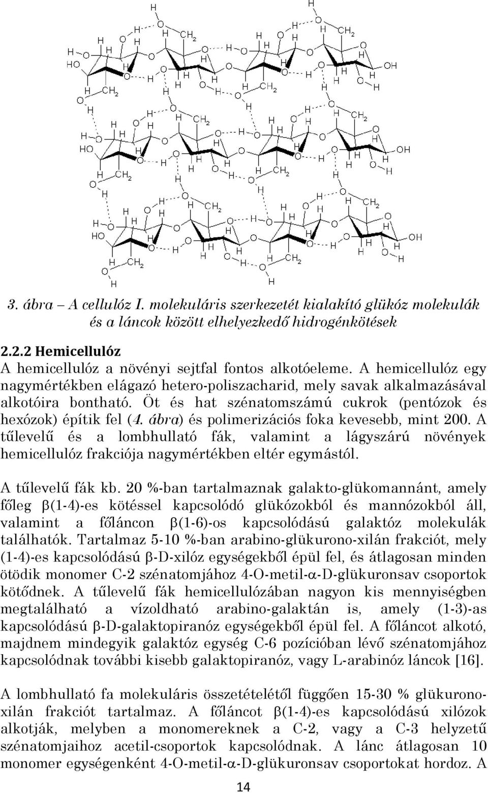 ábra) és polimerizációs foka kevesebb, mint 200. A tűlevelű és a lombhullató fák, valamint a lágyszárú növények hemicellulóz frakciója nagymértékben eltér egymástól. A tűlevelű fák kb.