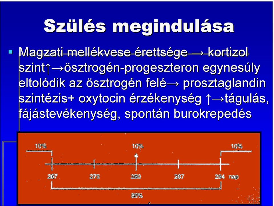 ösztrogén n felé prosztaglandin szintézis+ zis+ oxytocin