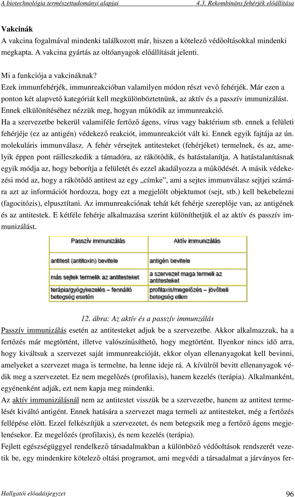 Ennek elkülönítéséhez nézzük meg, hogyan működik az immunreakció. Ha a szervezetbe bekerül valamiféle fertőző ágens, vírus vagy baktérium stb.