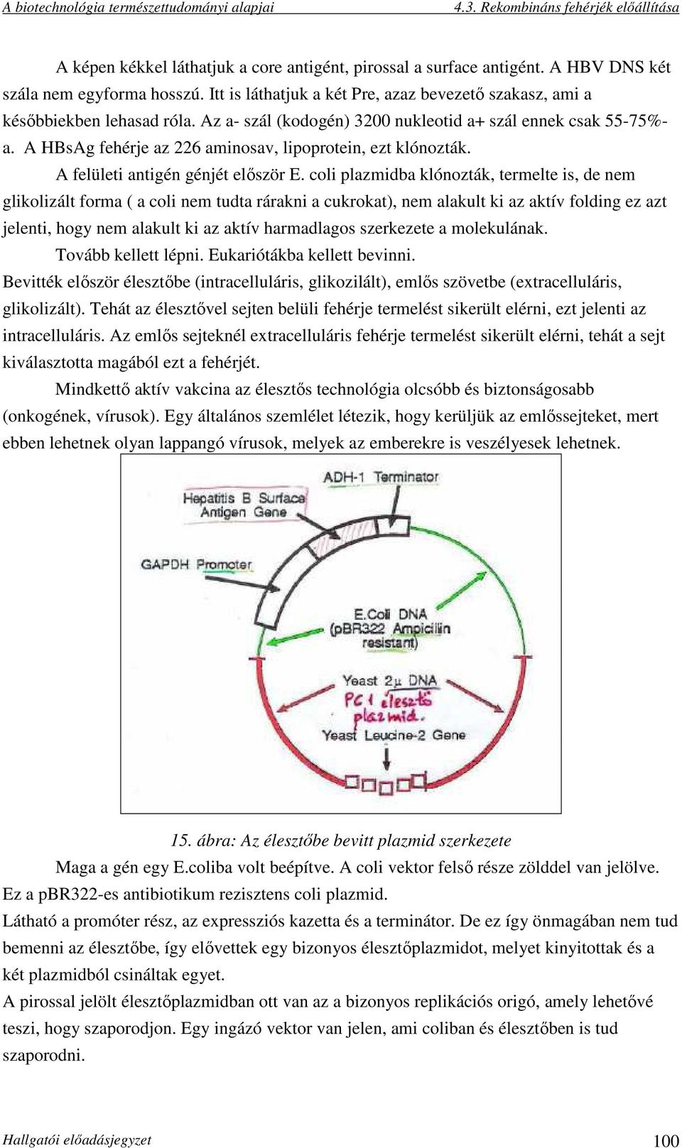 coli plazmidba klónozták, termelte is, de nem glikolizált forma ( a coli nem tudta rárakni a cukrokat), nem alakult ki az aktív folding ez azt jelenti, hogy nem alakult ki az aktív harmadlagos