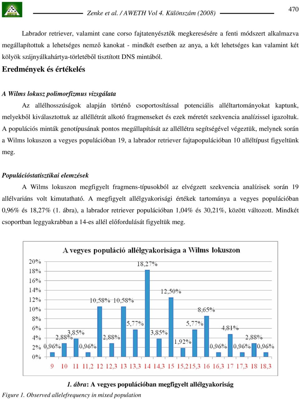 Eredmények és értékelés A Wilms lokusz polimorfizmus vizsgálata Az allélhosszúságok alapján történı csoportosítással potenciális alléltartományokat kaptunk, melyekbıl kiválasztottuk az alléllétrát