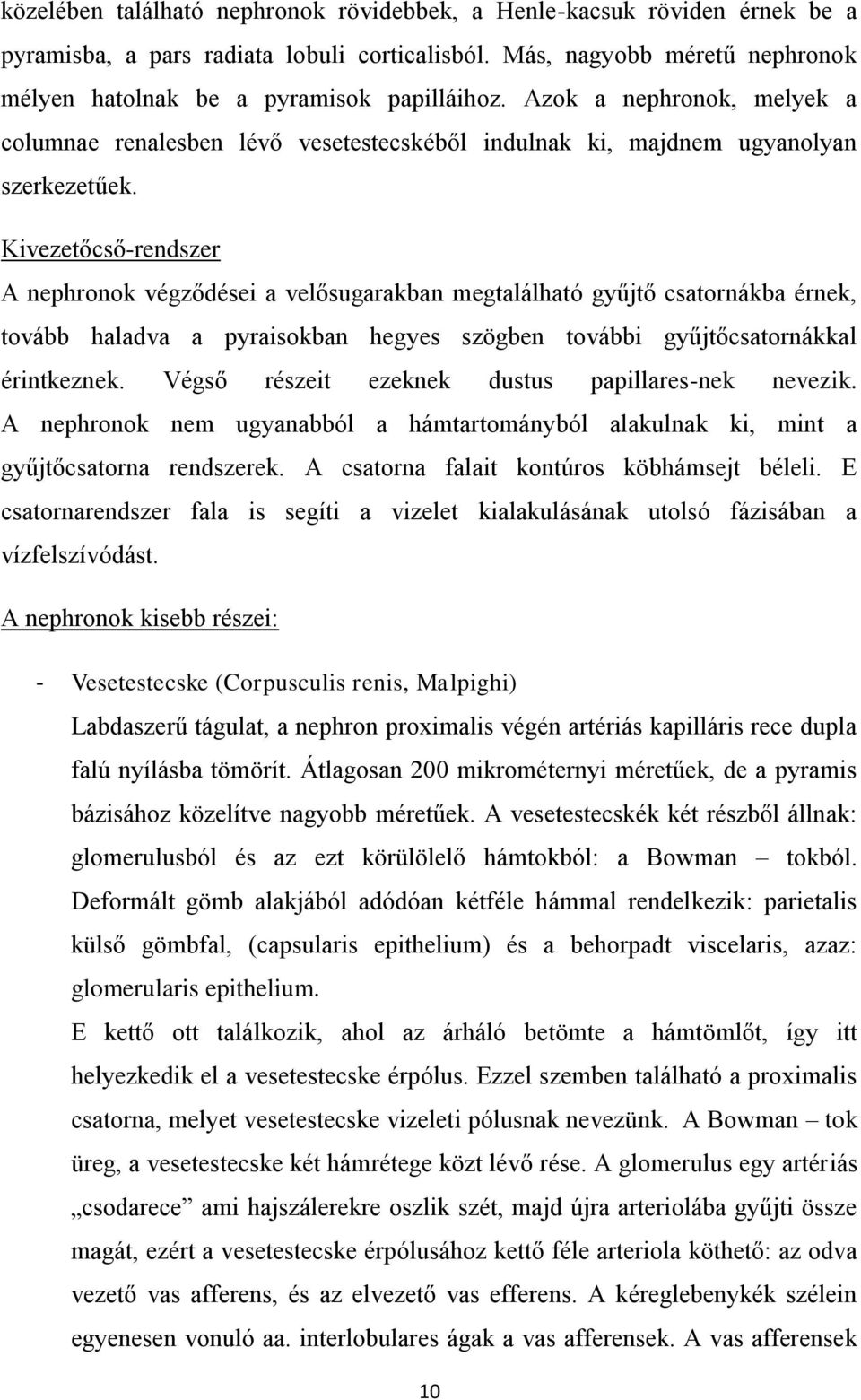 Kivezetőcső-rendszer A nephronok végződései a velősugarakban megtalálható gyűjtő csatornákba érnek, tovább haladva a pyraisokban hegyes szögben további gyűjtőcsatornákkal érintkeznek.