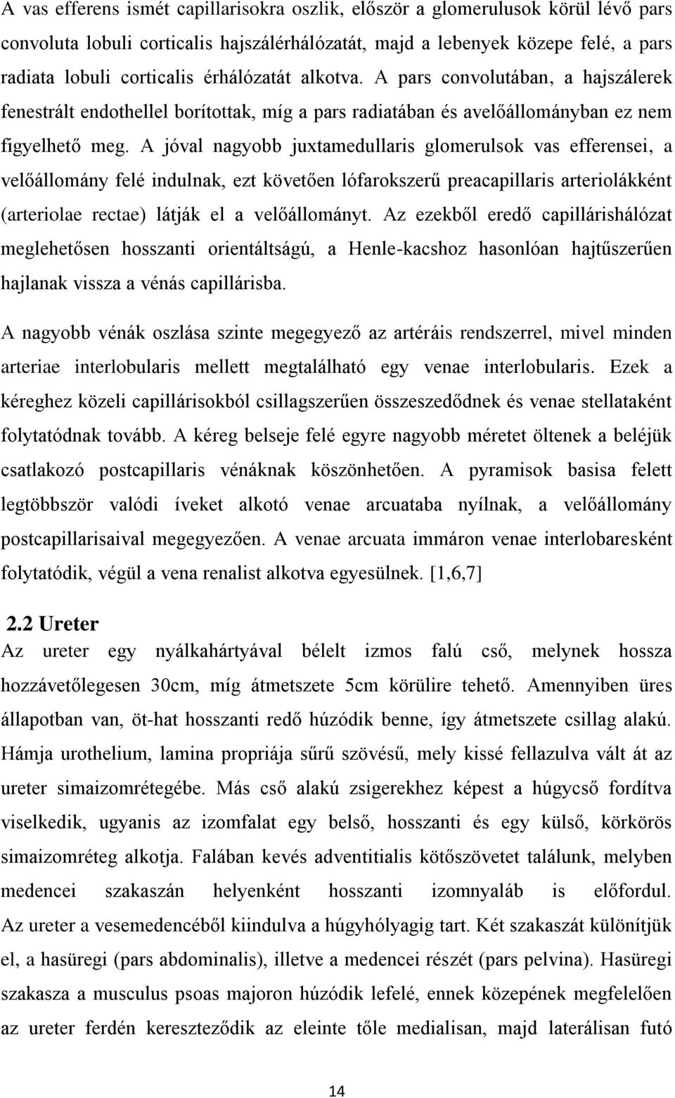 A jóval nagyobb juxtamedullaris glomerulsok vas efferensei, a velőállomány felé indulnak, ezt követően lófarokszerű preacapillaris arteriolákként (arteriolae rectae) látják el a velőállományt.