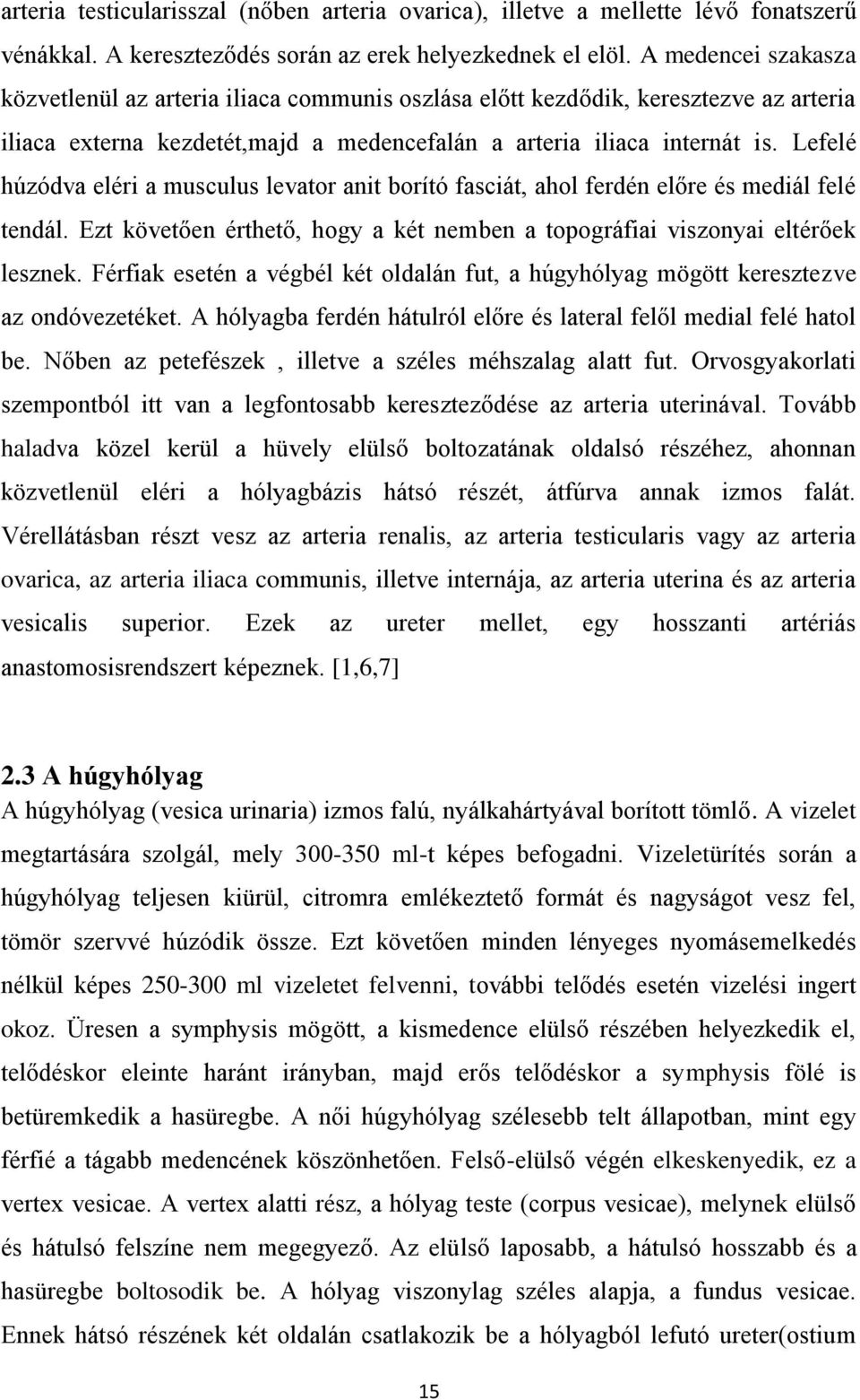 Lefelé húzódva eléri a musculus levator anit borító fasciát, ahol ferdén előre és mediál felé tendál. Ezt követően érthető, hogy a két nemben a topográfiai viszonyai eltérőek lesznek.