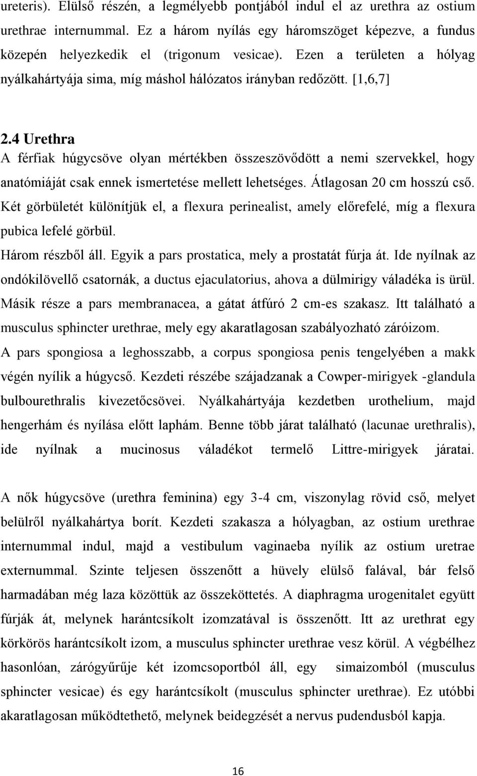 4 Urethra A férfiak húgycsöve olyan mértékben összeszövődött a nemi szervekkel, hogy anatómiáját csak ennek ismertetése mellett lehetséges. Átlagosan 20 cm hosszú cső.