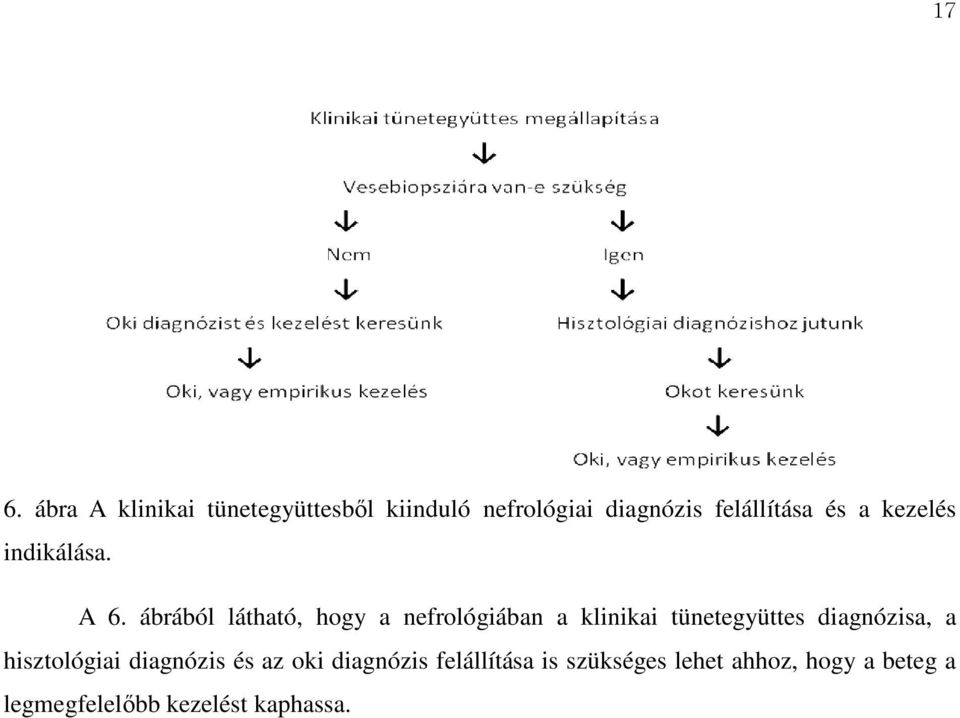 ábrából látható, hogy a nefrológiában a klinikai tünetegyüttes diagnózisa, a