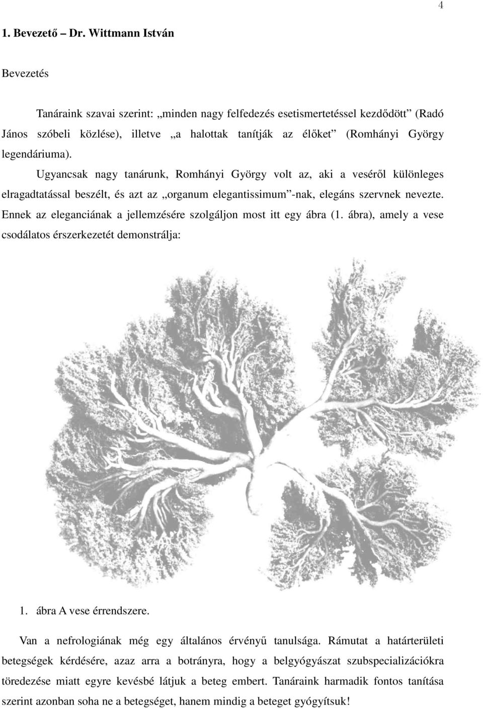 legendáriuma). Ugyancsak nagy tanárunk, Romhányi György volt az, aki a veséről különleges elragadtatással beszélt, és azt az organum elegantissimum -nak, elegáns szervnek nevezte.