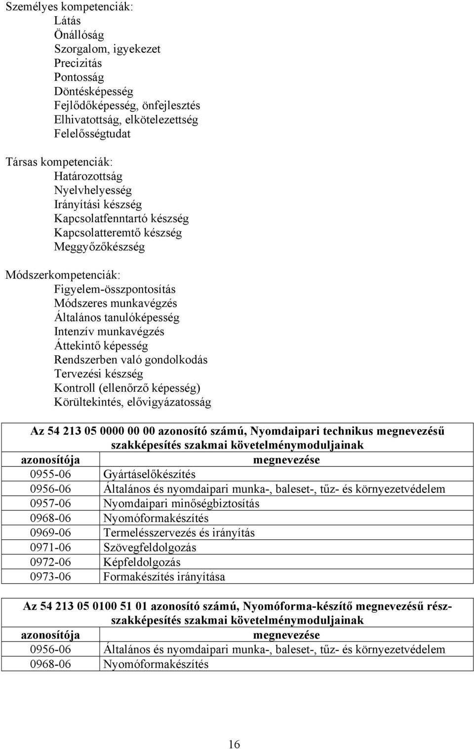 tanulóképesség Intenzív munkavégzés Áttekintő képesség Rendszerben való gondolkodás Tervezési készség Kontroll (ellenőrző képesség) Körültekintés, elővigyázatosság z 54 213 05 0000 00 00 azonosító