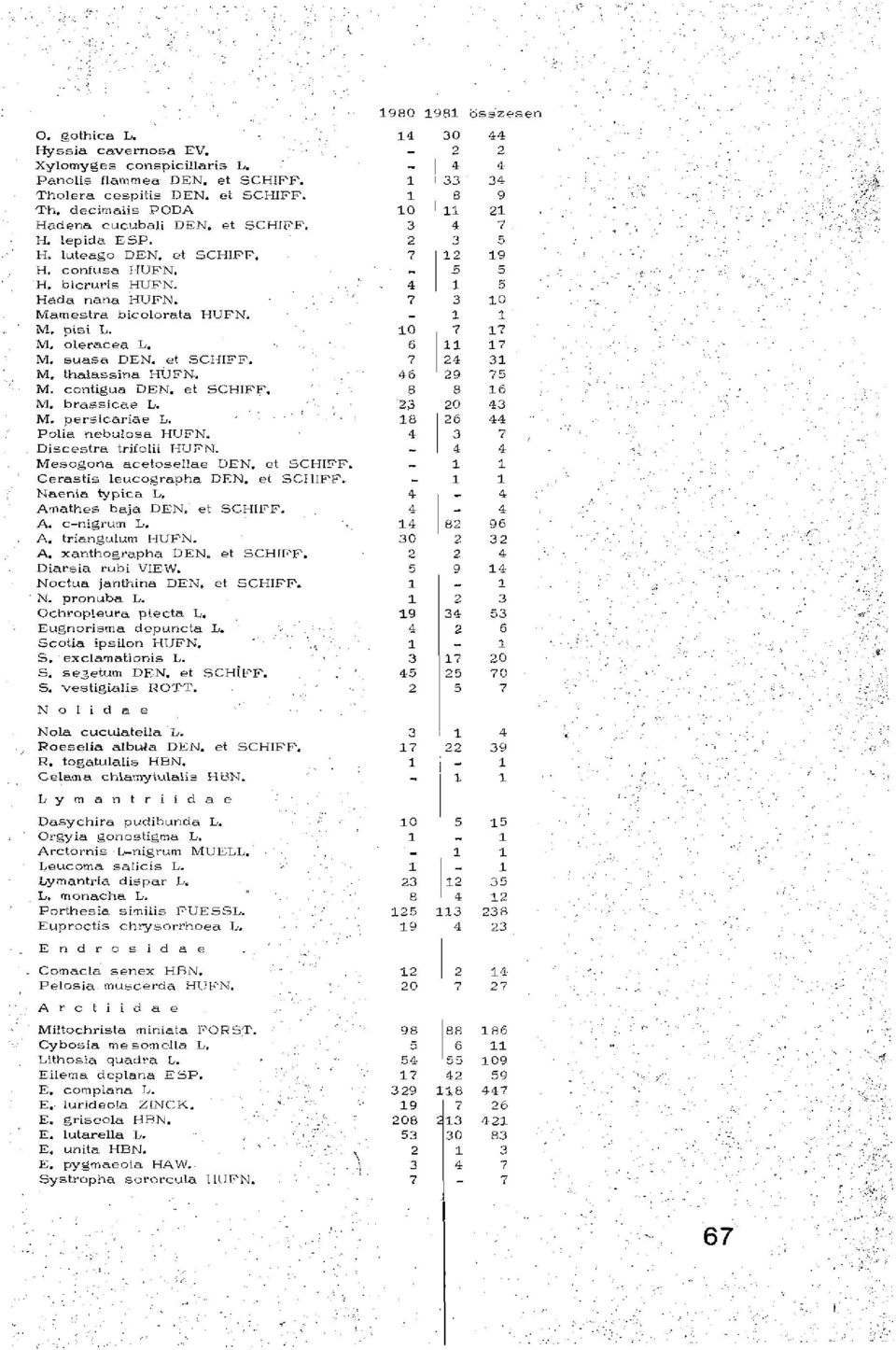 M. persicariae L. Polia nebulosa HUFN. Discestra trifolii HUFN. Mesogona acetosellae DEN, et SCHIFF. Cerastis leucographa DEN. et SCHIFF. Naenia typica L. Amathes baja DEN. et SCHIFF. A. cnigrum L. A. triangulum HUFN.