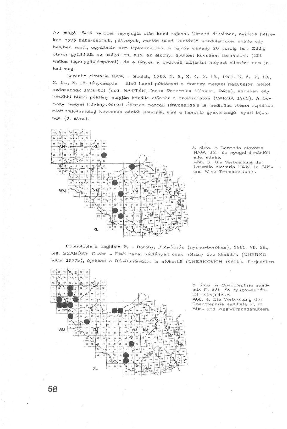 A rajzás mintegy 20 percig tart Eddig ötször gyűjtöttük az imágót ott, ahol az alkonyi gyűjtést követően lámpáztunk (250 wattos higanygőzlámpával), de a fényen a kedvező időjárási helyzet ellenére