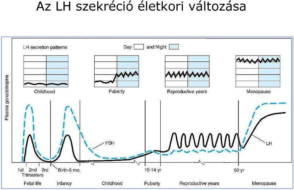 életkori