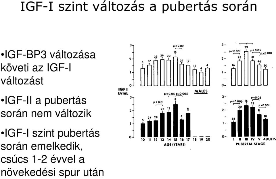 pubertás során nem változik IGF-I szint pubertás