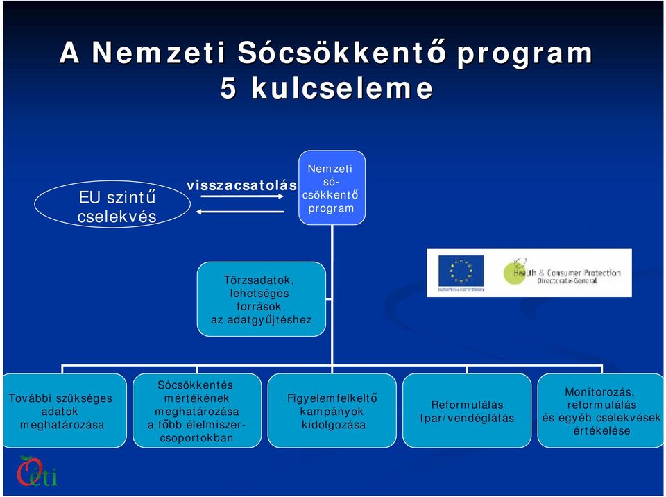 Sócsökkentés mértékének meghatározása a főbb élelmiszercsoportokban Figyelemfelkeltő kampányok