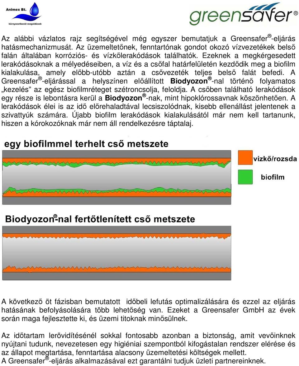 Ezeknek a megkérgesedett lerakódásoknak a mélyedéseiben, a víz és a csőfal határfelületén kezdődik meg a biofilm kialakulása, amely előbb-utóbb aztán a csővezeték teljes belső falát befedi.