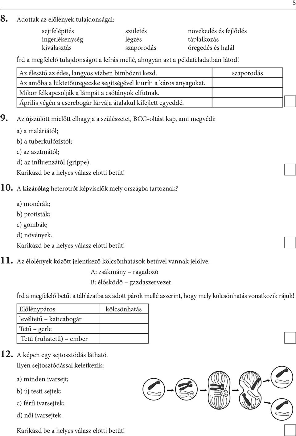 mellé, ahogyan azt a példafeladatban látod! Az élesztő az édes, langyos vízben bimbózni kezd. Az amőba a lüktetőüregecske segítségével kiüríti a káros anyagokat.