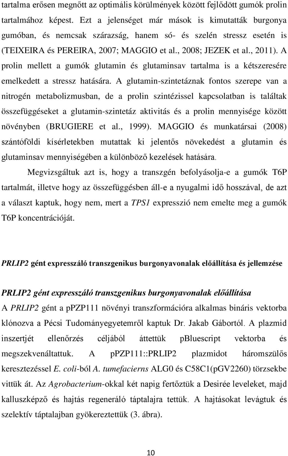 A prolin mellett a gumók glutamin és glutaminsav tartalma is a kétszeresére emelkedett a stressz hatására.