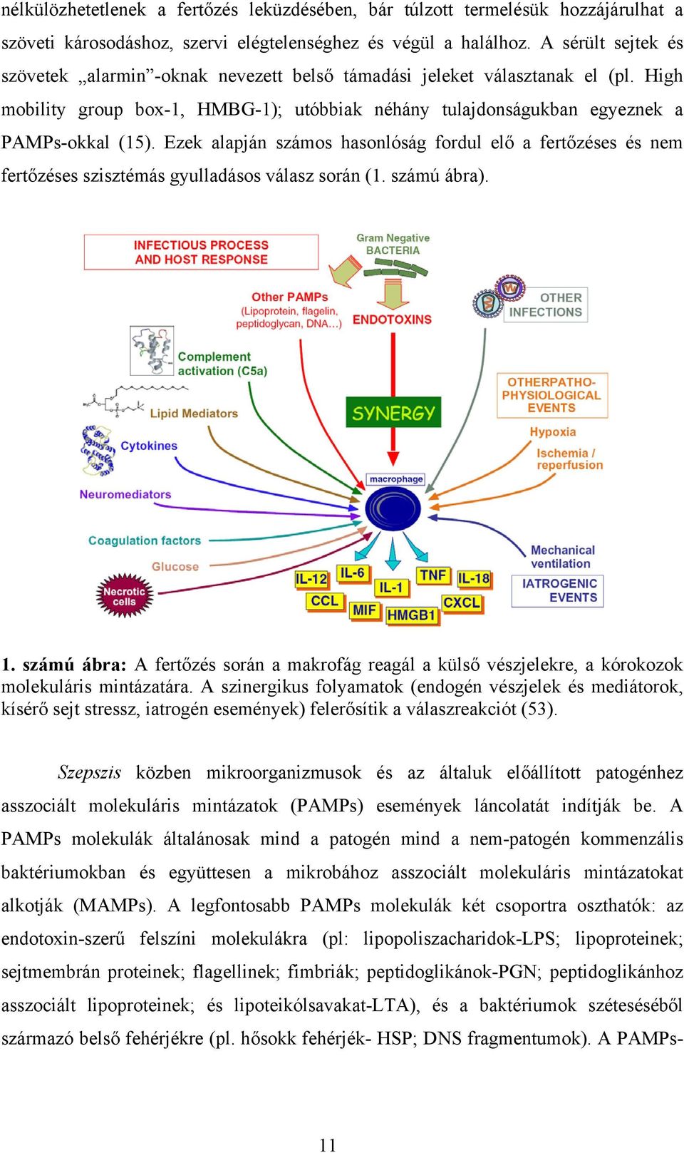 Ezek alapján számos hasonlóság fordul elő a fertőzéses és nem fertőzéses szisztémás gyulladásos válasz során (1. számú ábra). 1.