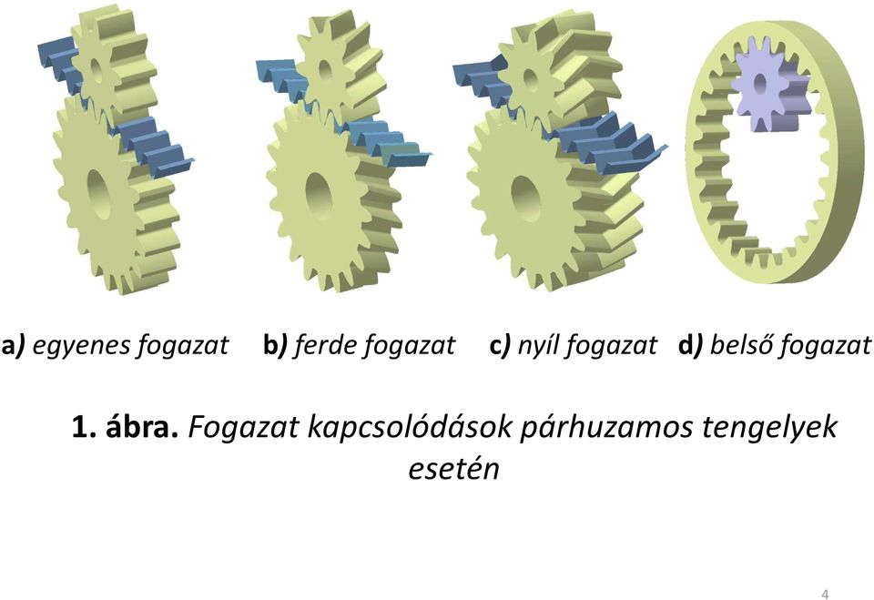 belső fogazat. ába.