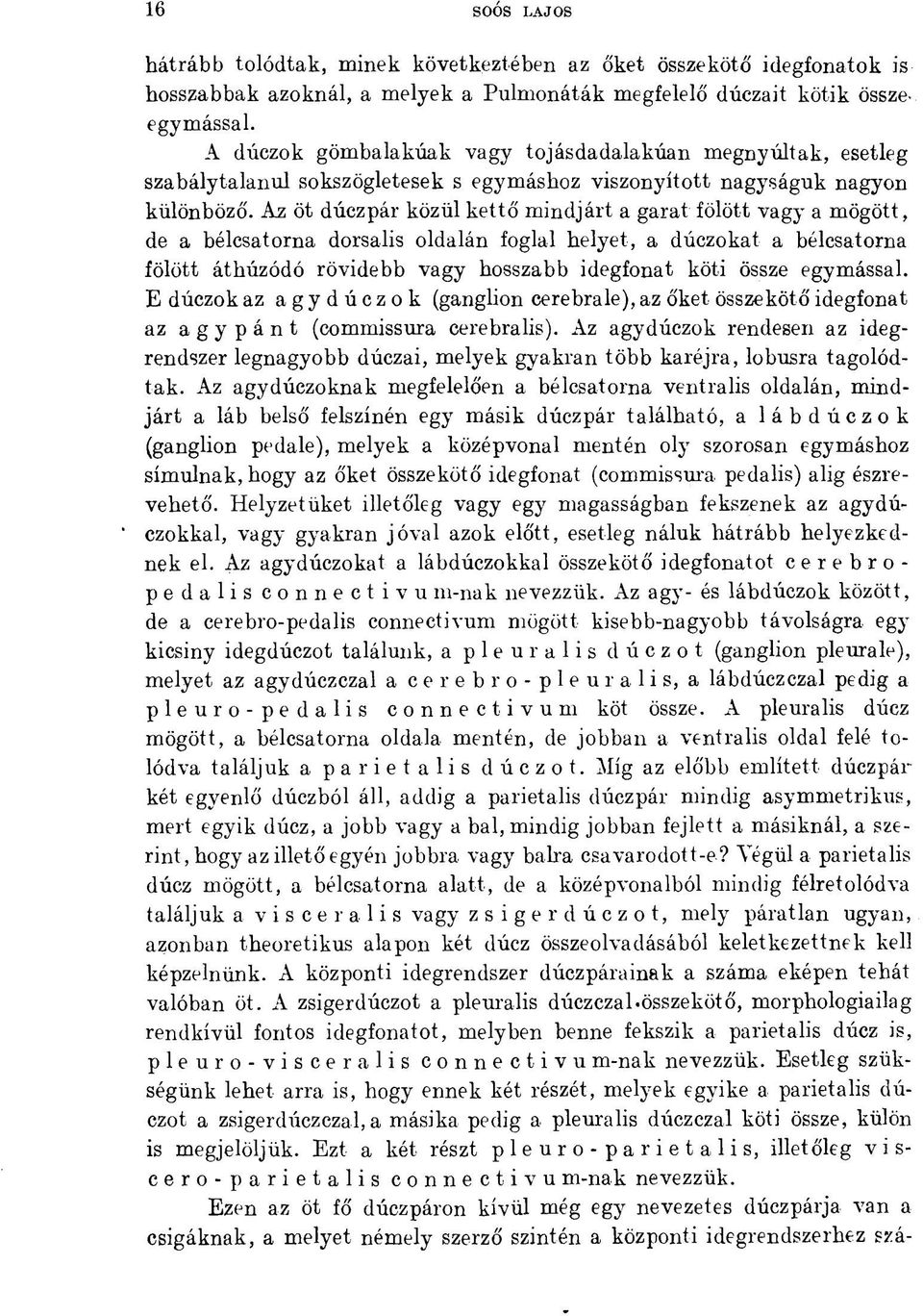 Az öt dúczpár közül kettő mindjárt a garat fölött vagy a mögött, de a bélcsatorna dorsalis oldalán foglal helyet, a dúczokat a bélcsatorna fölött áthúzódó rövidebb vagy hosszabb idegfonat köti össze