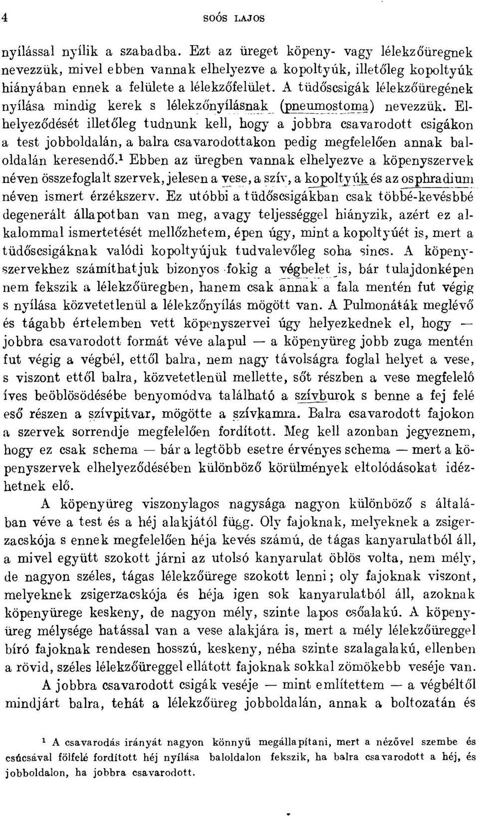 Elhelyeződését illetőleg tudnunk kell, hogy a jobbra csavarodott csigákon a test jobboldalán, a balra csavarodottakon pedig megfelelően annak baloldalán keresendő.