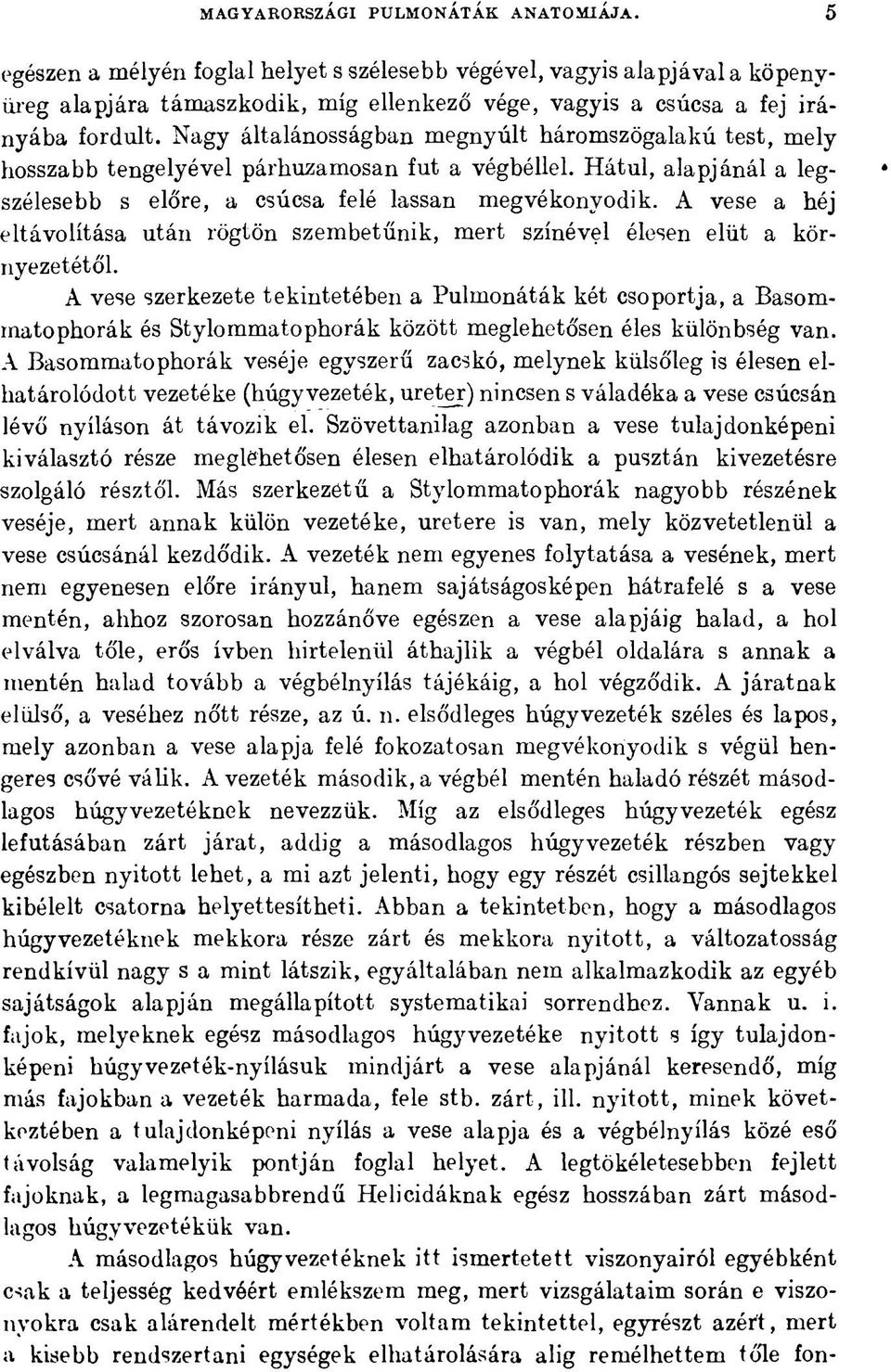 Nagy általánosságban megnyúlt háromszögalakú test, mely hosszabb tengelyével párhuzamosan fut a végbéllel. Hátul, alapjánál a legszélesebb s előre, a csúcsa felé lassan megvékonyodik.