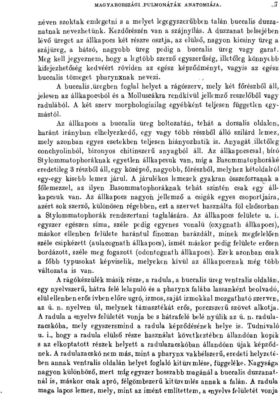 Meg kell jegyeznem, hogy a legtöbb szerző egyszerűség, illetőleg könnyebb kifejezhetőség kedvéért röviden az egész képződményt, vagyis az egész buccalis tömeget pharynxnak nevezi.