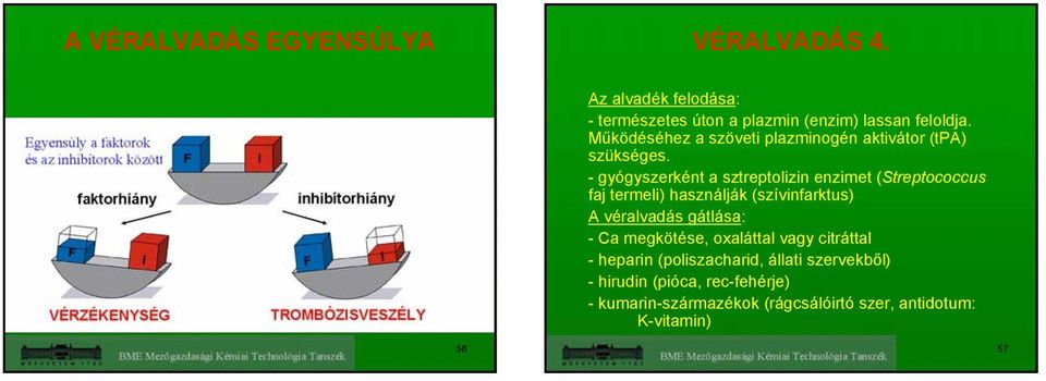 - gyógyszerként a sztreptolizin enzimet (Streptococcus faj termeli) használják (szívinfarktus) A véralvadás gátlása: -