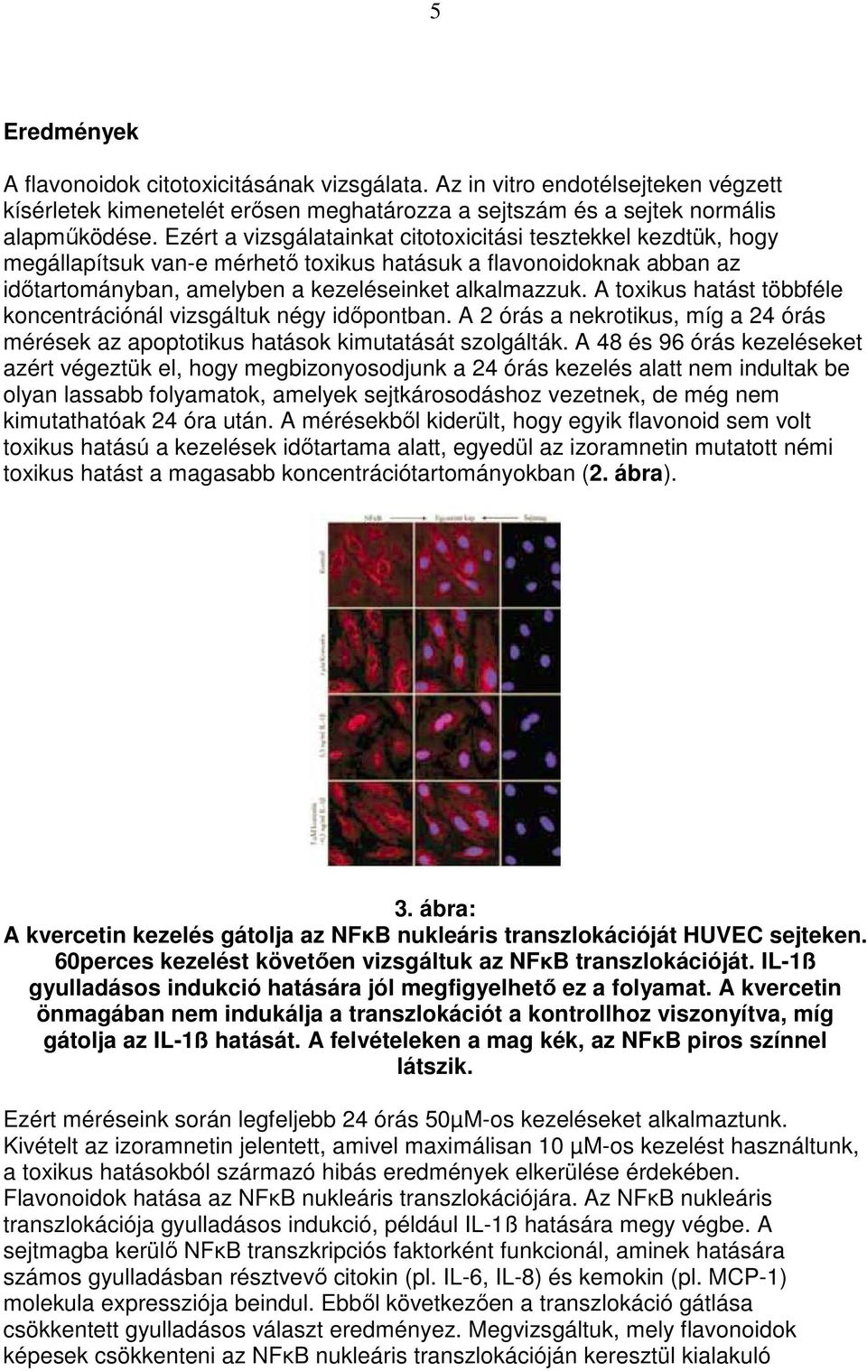 A toxikus hatást többféle koncentrációnál vizsgáltuk négy idıpontban. A 2 órás a nekrotikus, míg a 24 órás mérések az apoptotikus hatások kimutatását szolgálták.