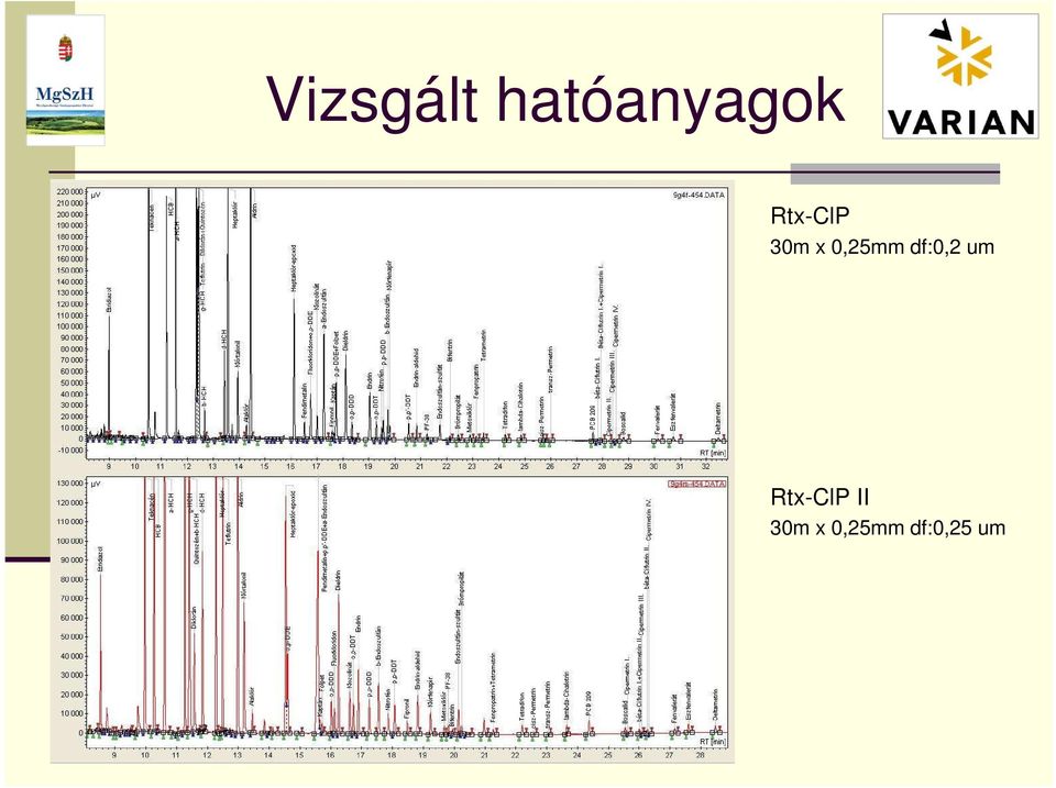 df:0,2 um Rtx-ClP II