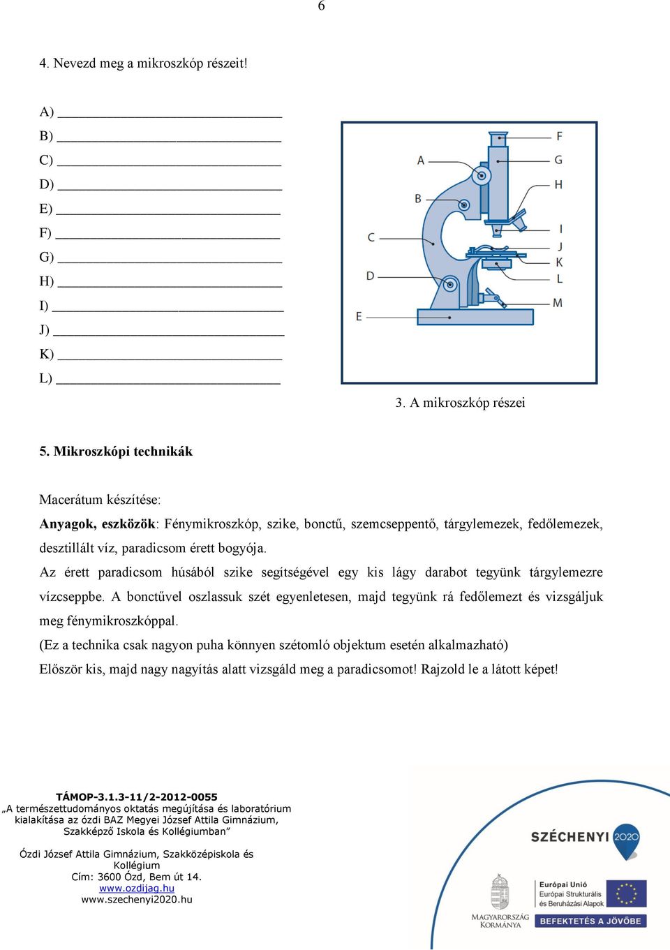 érett bogyója. Az érett paradicsom húsából szike segítségével egy kis lágy darabot tegyünk tárgylemezre vízcseppbe.